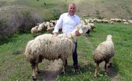 22 yıl Hollanda’da çalışan gurbetçi köyüne dönüp hayvan yetiştiriciliğine başladı