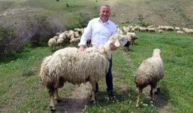 22 yıl Hollanda’da çalışan gurbetçi köyüne dönüp hayvan yetiştiriciliğine başladı