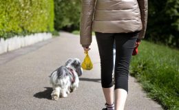 Hollanda’da Köpek Dışkısıyla Mücadele için DNA Veri Tabanı Oluşturulacak